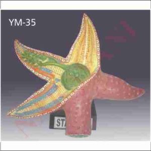 STARFISH