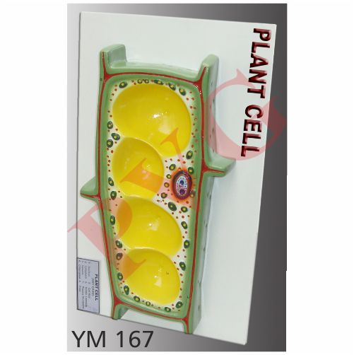 PLANT CELL