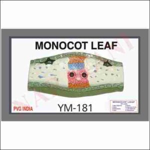LEAF TRANSVERSE SECTION MONOCOT