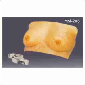 BREAST EXAMINATION MODEL