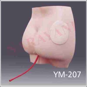 BUTTOCK INJECTION MODEL