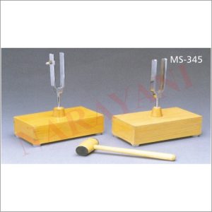 TUNING FORK MOUNTED