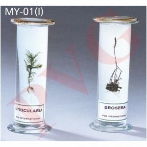 INSECTIVOROUS PLANTS