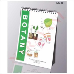 FLIP CHART BOTANY
