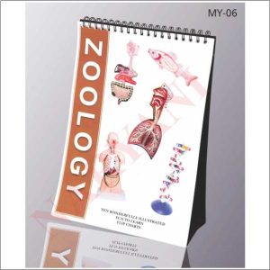 FLIP CHART ZOOLOGY