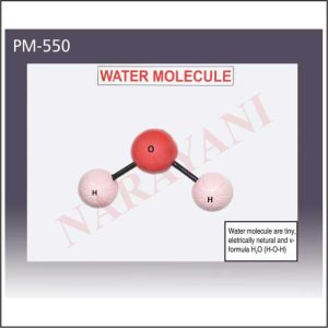 WATER MOLECULE