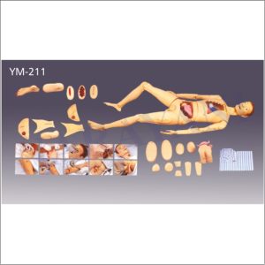 NURSING & WOUND CARE MANIKIN (MALE)